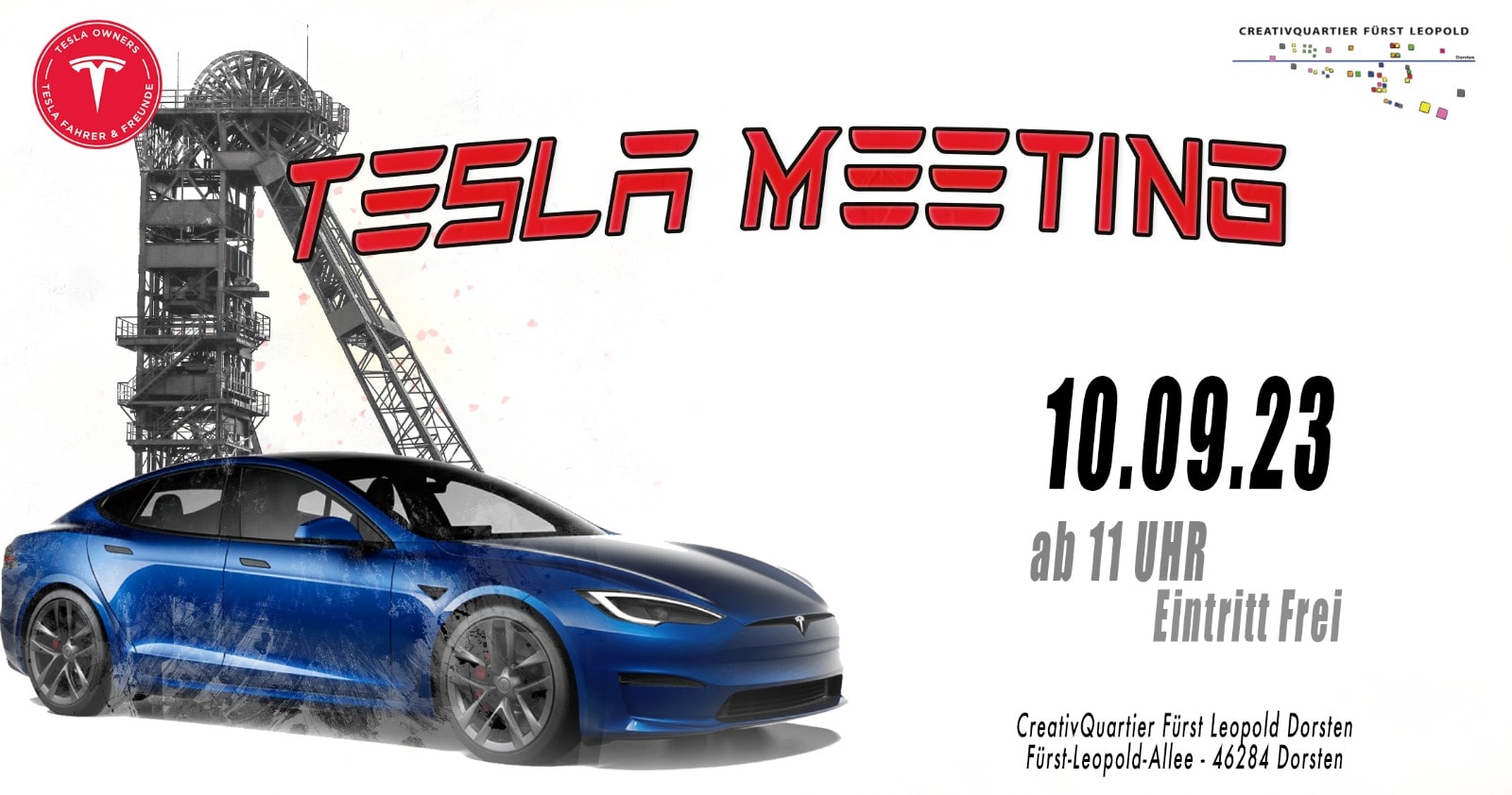 Marderschutz? - Model 3 Allgemeines - TFF Forum - Tesla Fahrer & Freunde