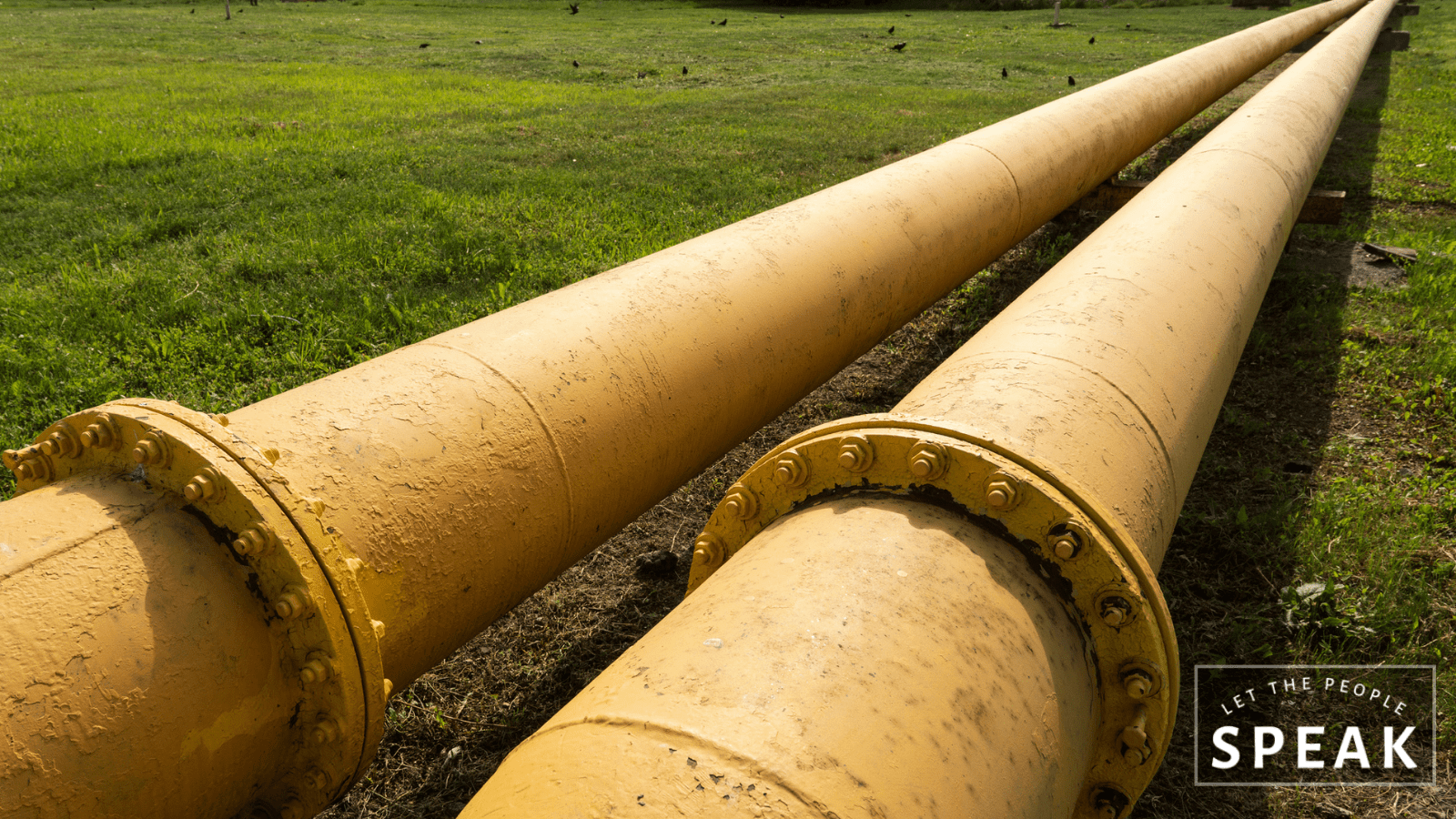 Should the Government Be Taking Land To Put in Pipelines?