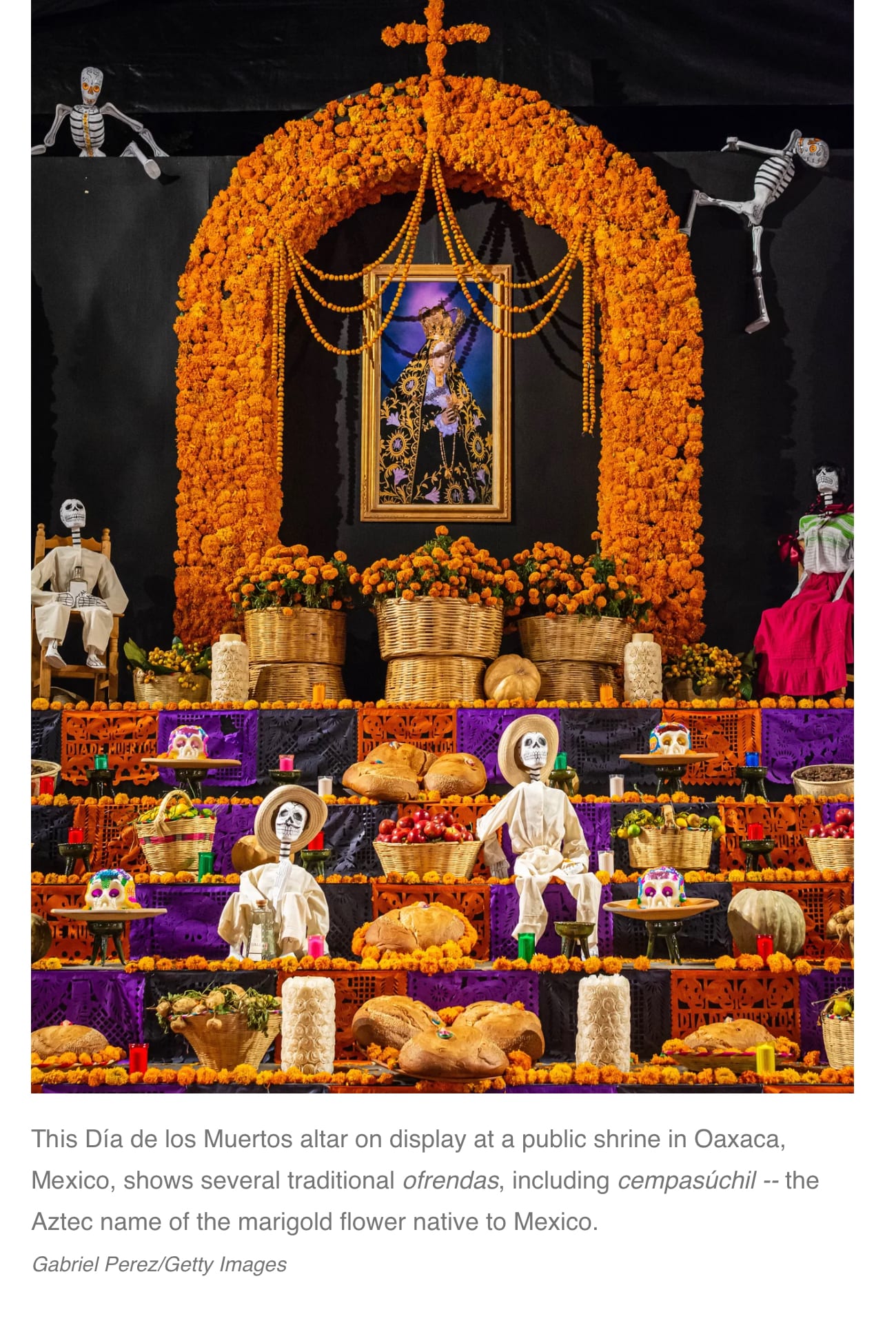 Day of the Dead: A History of a Celebration of Life -  - Take  Action on Issues You Care About