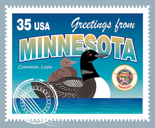 YOUR VOTE Minnesota 2024 Take Action on Issues You Care