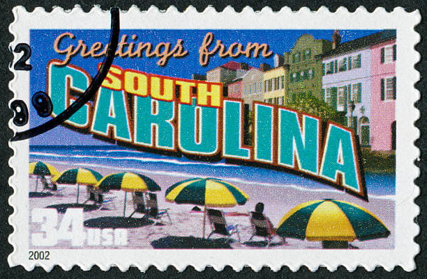 YOUR VOTE South Carolina 2024 Causes Com Take Action On Issues You   8e3785 SC 