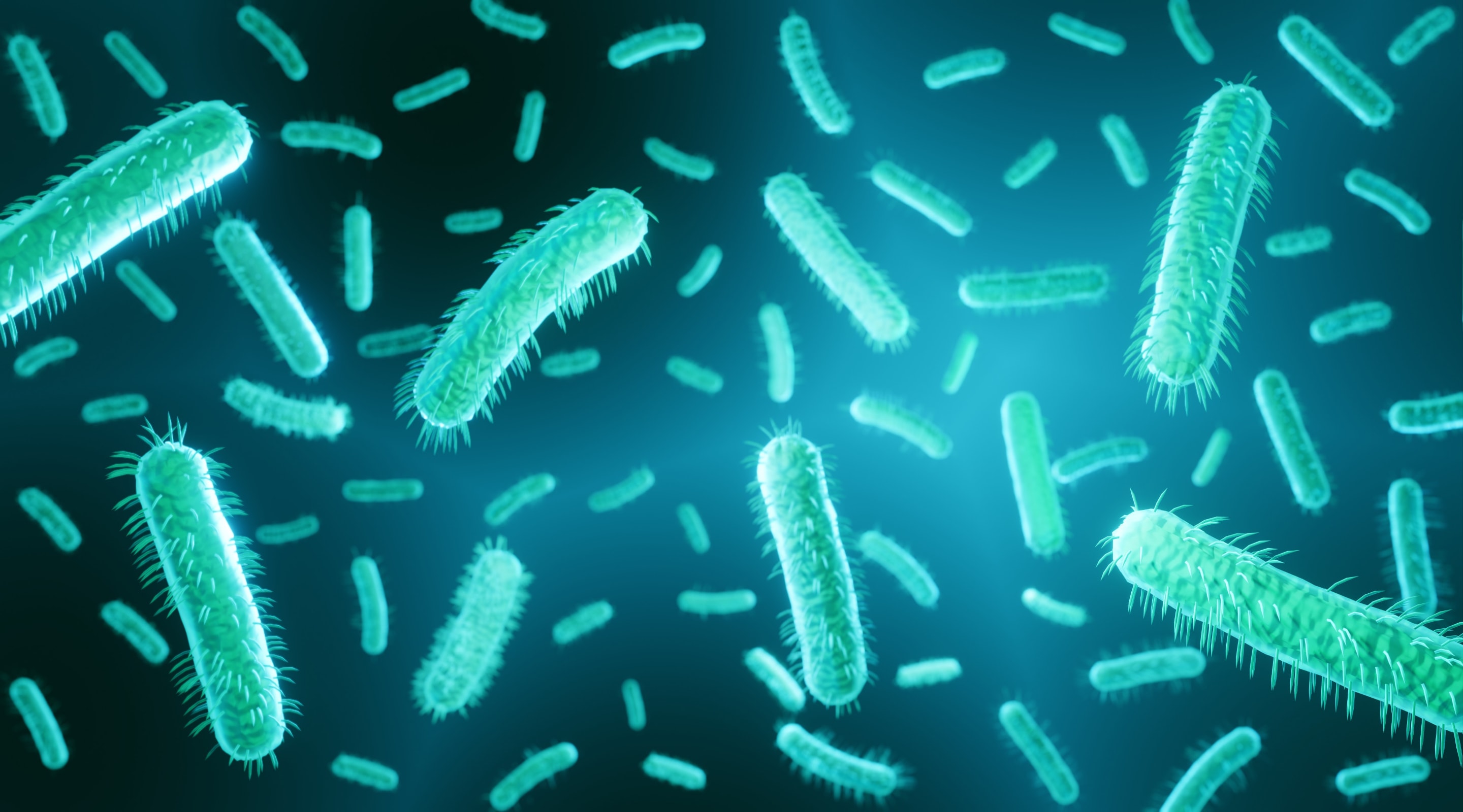 Urgent: New Canine Virus Spreading Rapidly Across Ohio - 73wsgwh