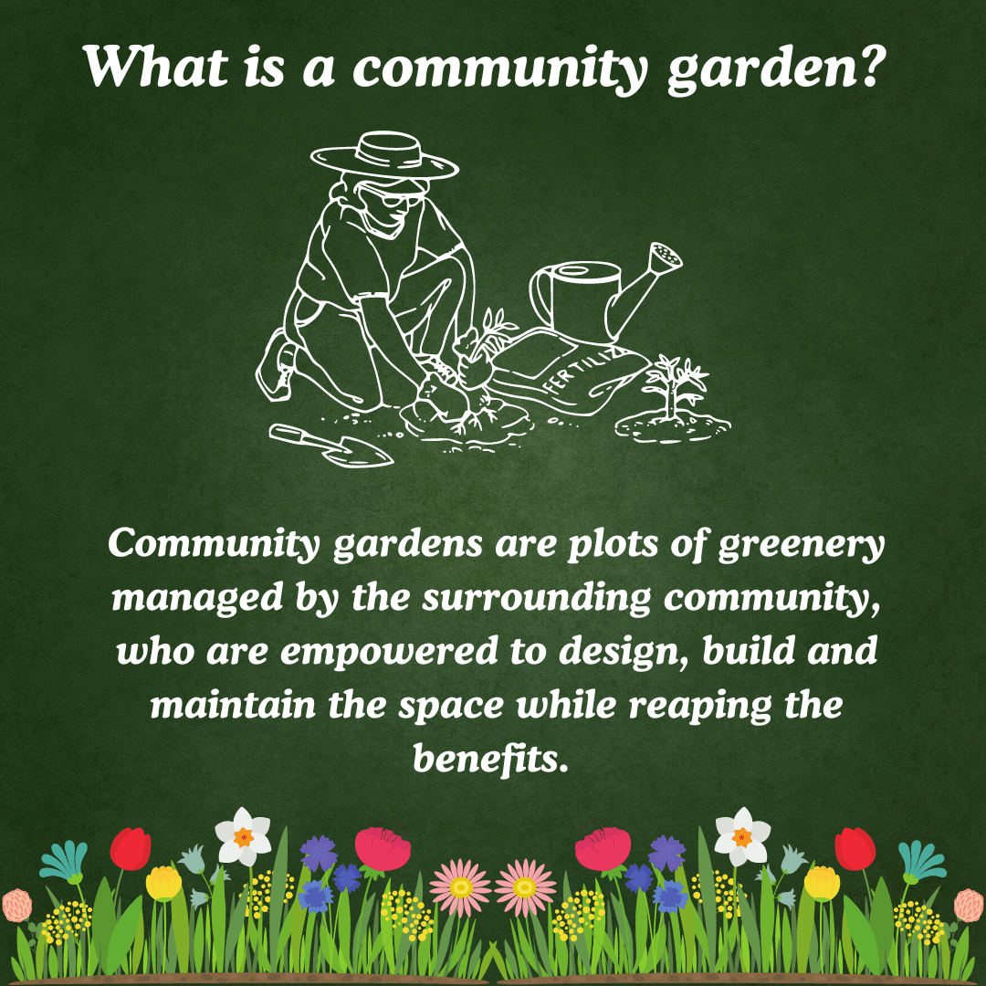 essay on community gardens