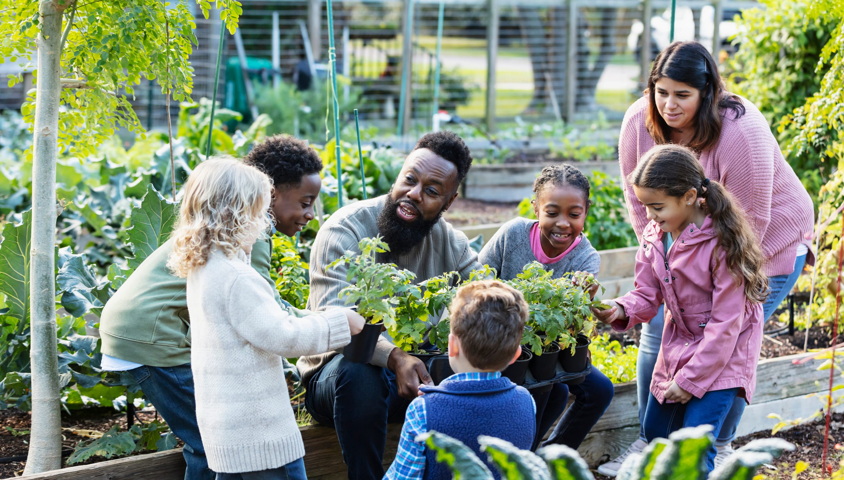 essay about community gardens