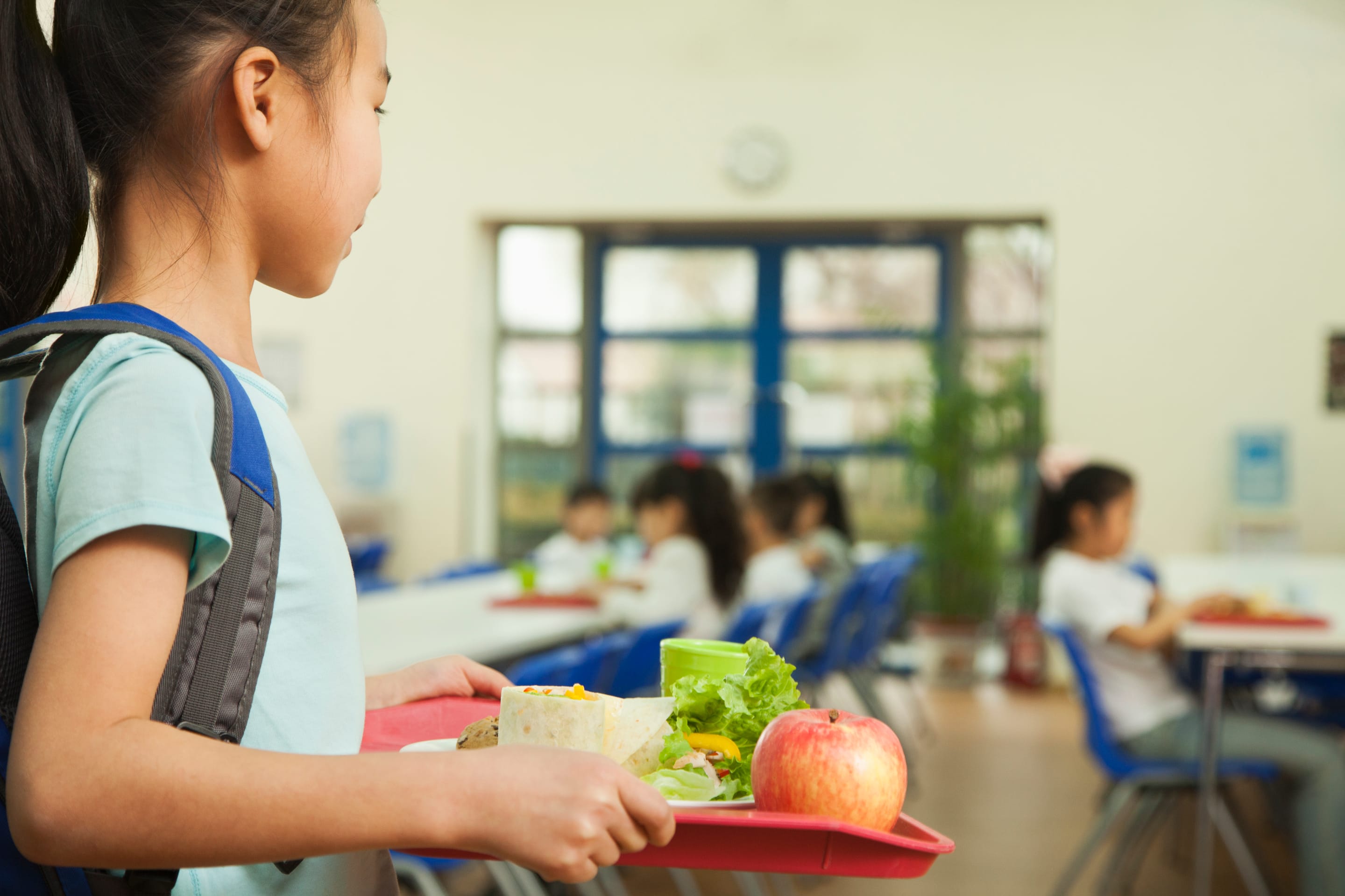 The National School Lunch And National School Breakfast Program NSLP 