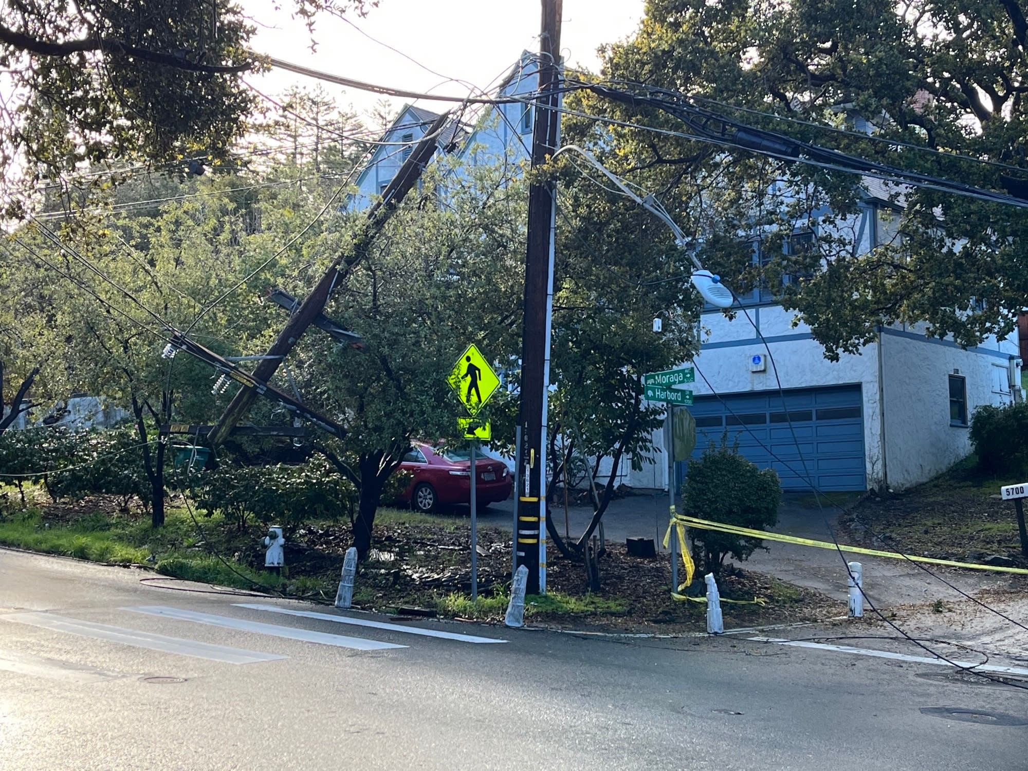 Utility pole and tree damage.