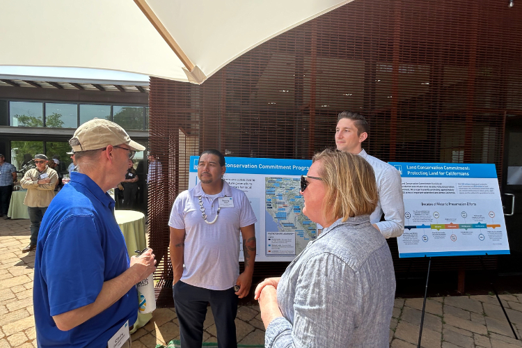 Guests network at Land Conservation event in patio