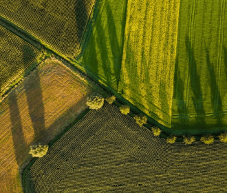 photo of green fields