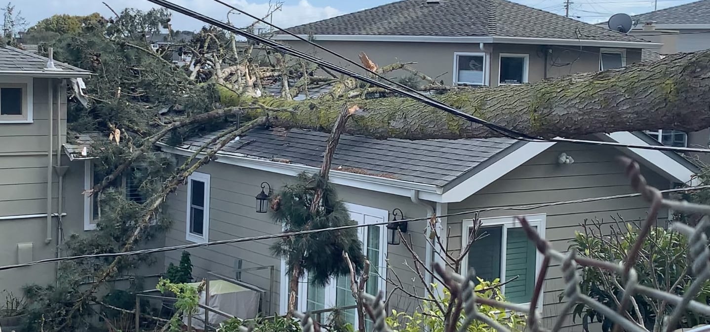 A tree on a South San Francisco hillside was uprooted during Tuesday's high winds. The fallen tree brought down wires, broke a power pole in half, damaged a transformer and landed on a home.