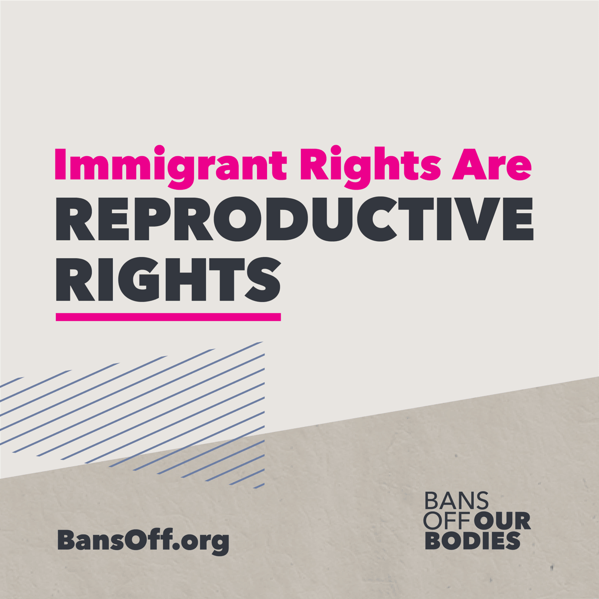 This is a grey square that says "Immigrant rights are reproductive rights"