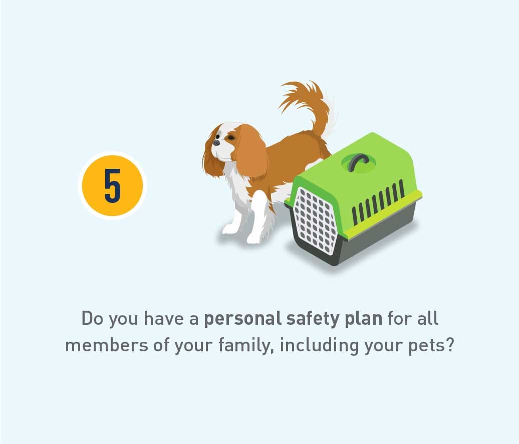 Graphic of a dog by a carrier. Text: Do you have a personal safety plan for all members of your family, including your pets?