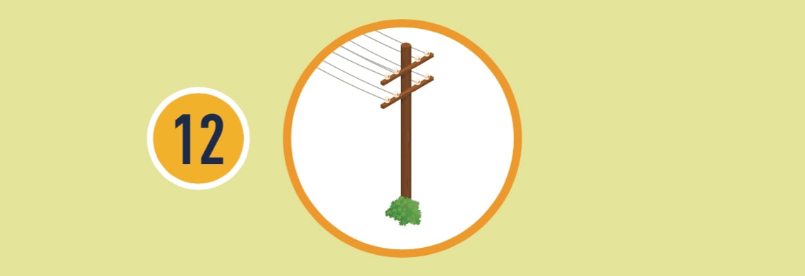 Illustration of low-growing shrub near a power line