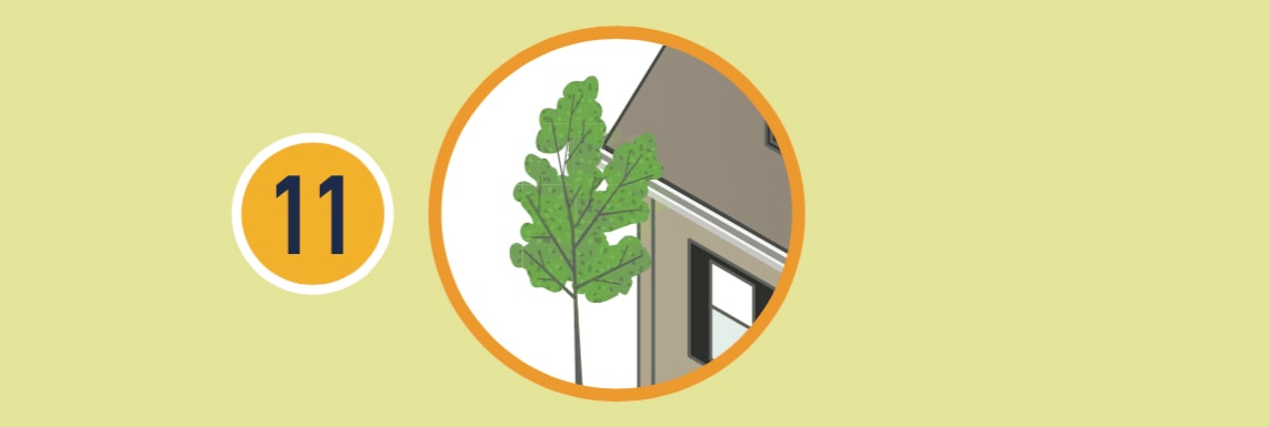 Illustration of branches hanging over a roof