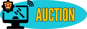 SFYS December 24 Online Auction