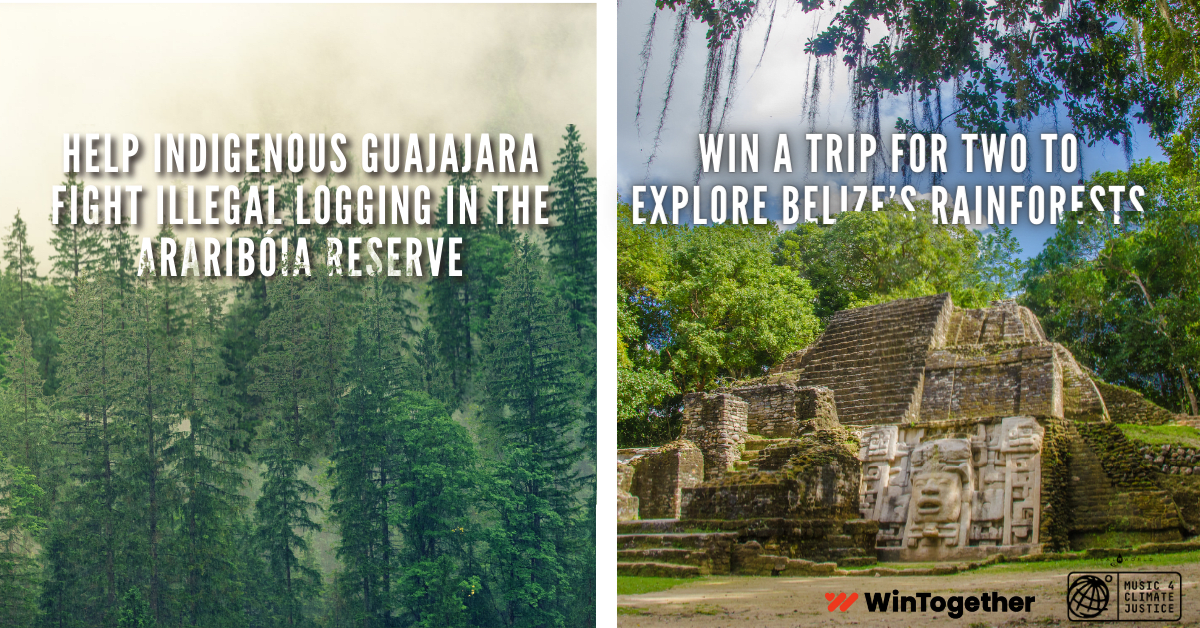 Image on left of forest with text overlaid saying "help Indigenous Guajajara fight illegal logging in the Araribola reserve" and image of Belize rainforest with text overlaid saying "win a trip for two to explore Belize's rainforests."